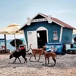 La - House & Gæstehus Crikvenica